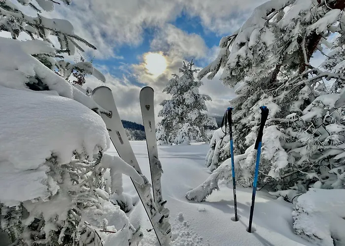 Hotel Spa Dr Irena Eris Krynica Zdroj